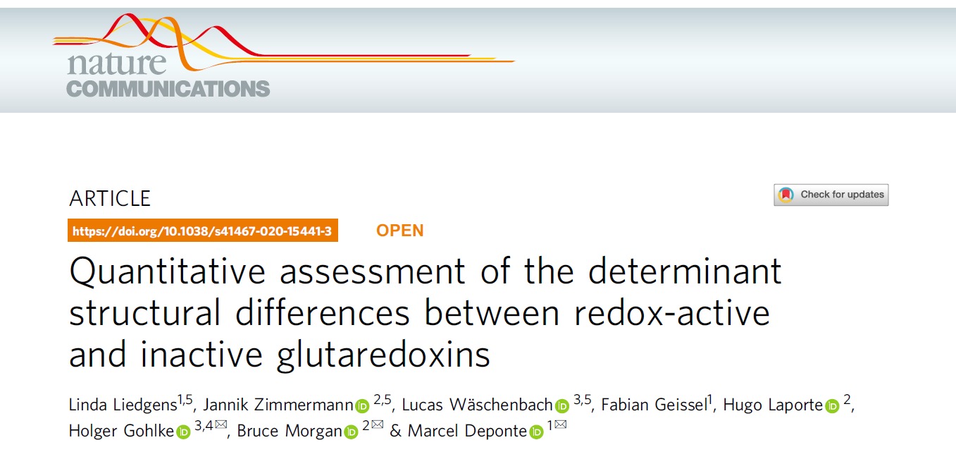 Image for Quantitative assessment of the determinant structural differences between redox-active and inactive glutaredoxins