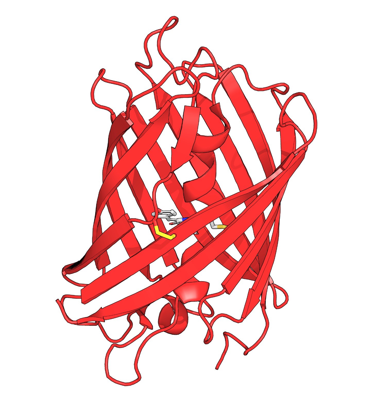 Red fluorescent redox-sensitive proteins